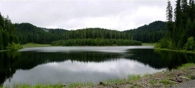 hemlock-l-copyjpg_49364885827_o