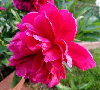 IMG_20220604_195820
