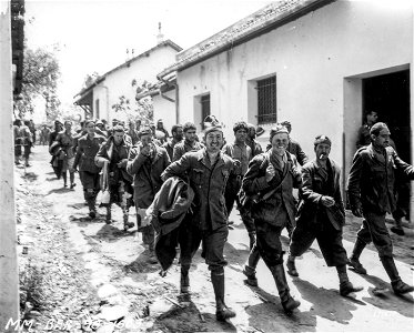 SC 171611 - Part of the nightly haul of Italian prisoners taken by the 9th Division. Tunisia, North Africa. 1 May, 1943.