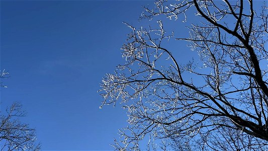 Winter Storm Cleanup