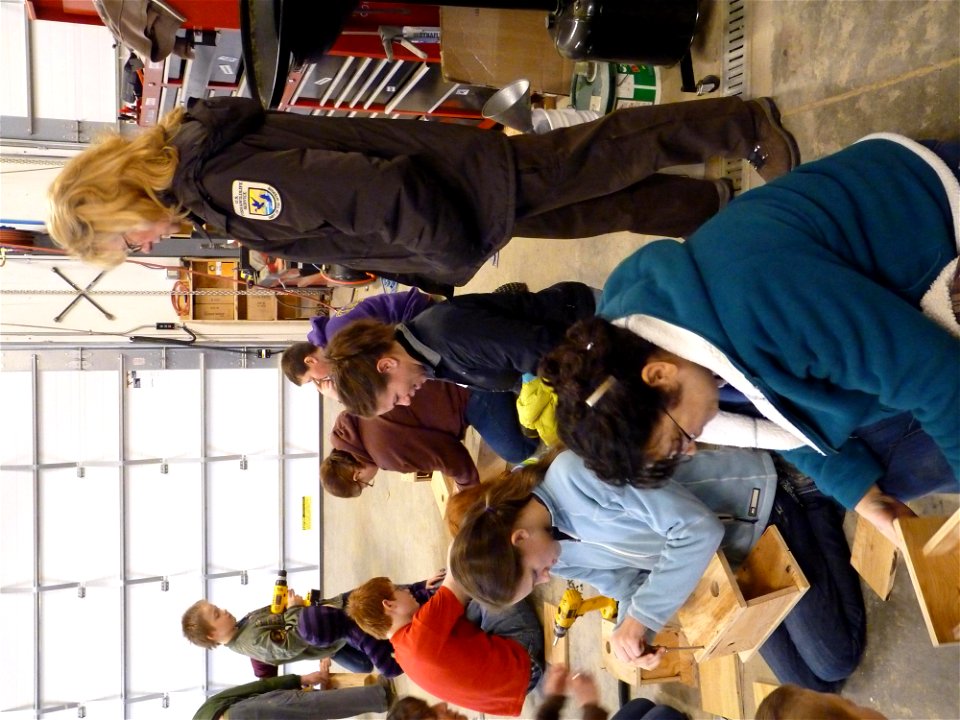 Bird Nest Box Workshop