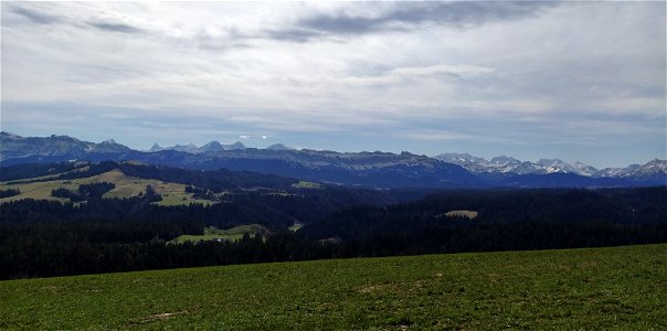 IMG_20210313_111231