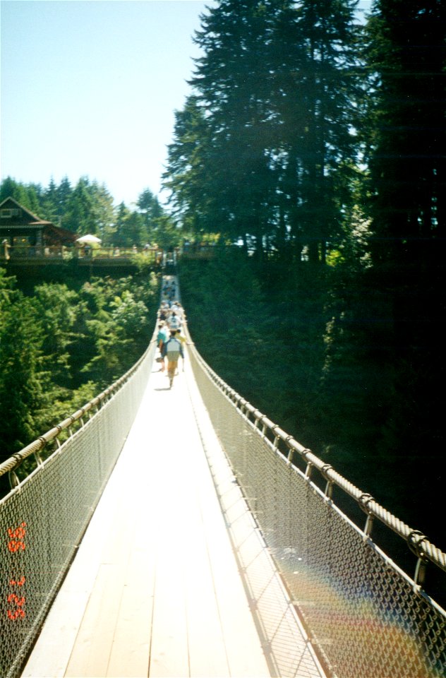 Summer - Fall 1996-0016