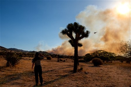 Park Ranger and Smoke from the Elk Fire photo