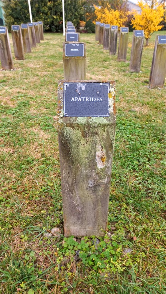 Cimetière du Camp du Vernet - Cemetery of the Vernet camp