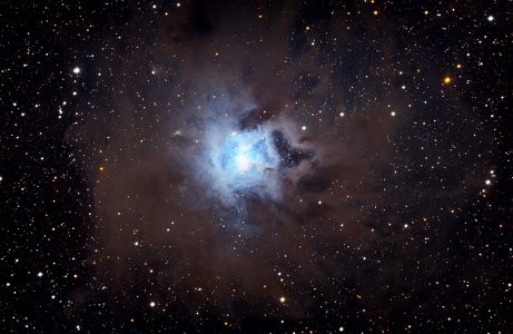 Iris Nebula NGC 7023 (LRGB) photo