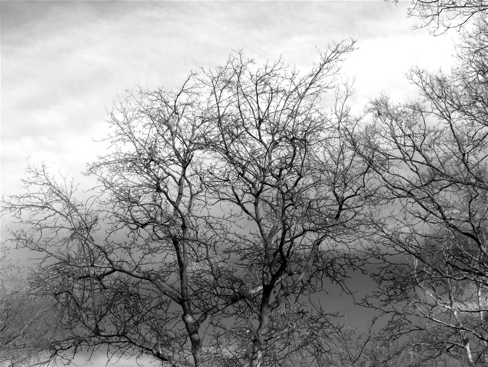 Park walk