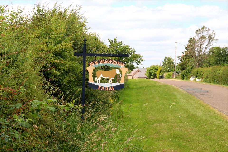 Wildlife-friendly Farm.