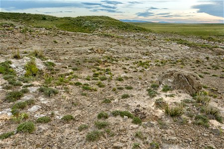 Cota del Gallo Arroyo