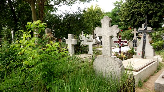 cimitir_SfantaVineri2021_0724_080616