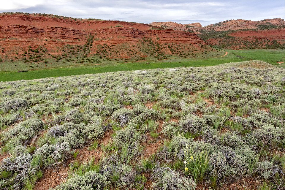Red Canyon