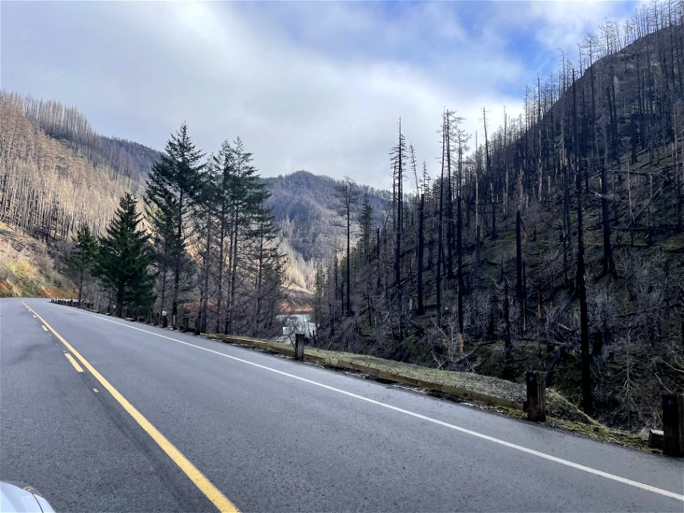 Hwy 224 missing guard rail on Mt. Hood National Forest