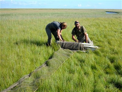 Rolling up nets