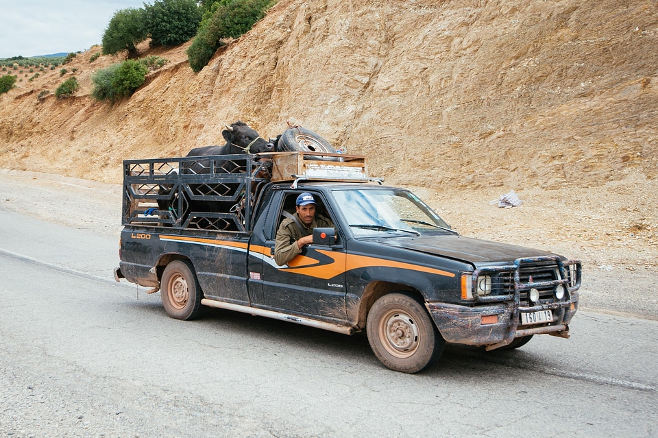 Car road transport