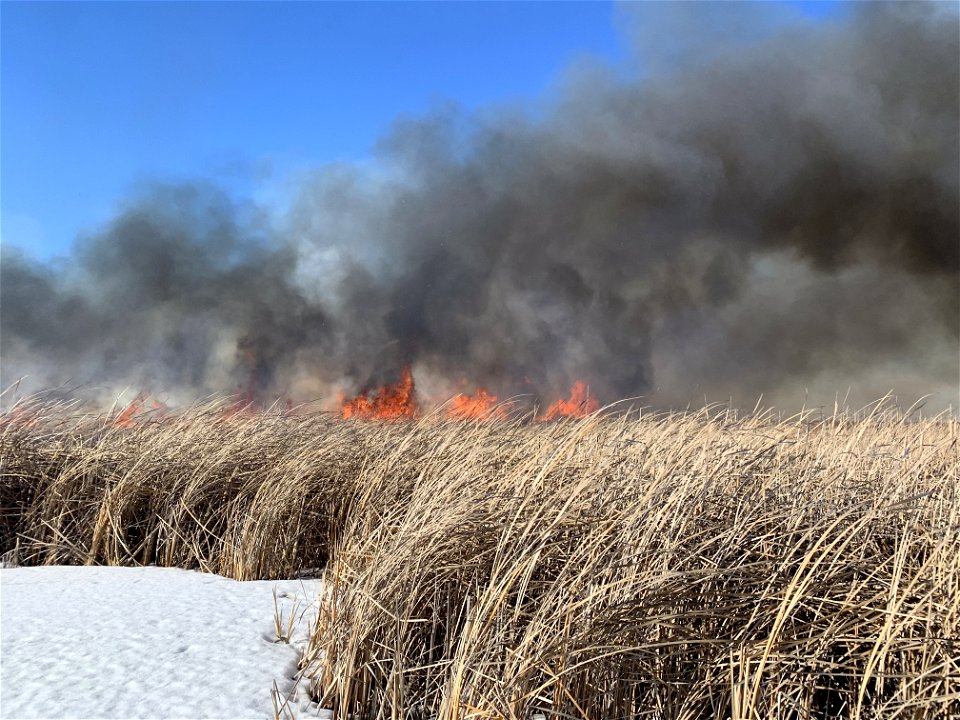 2021 USFWS Fire Employee Photo Contest Category: Landscape and Fire