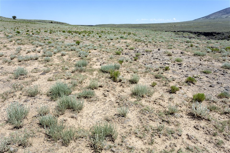 West side of the Rio Grande Canyon