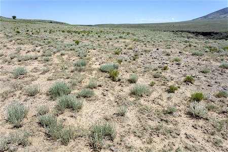 West side of the Rio Grande Canyon