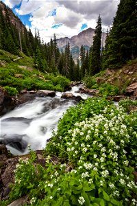 CO handies peak wild-10