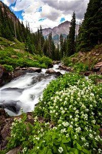 CO handies peak wild-10 photo