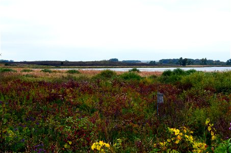 Collins Marsh Wildlife Management Area