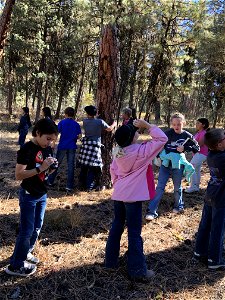 A group of kids learn about forest science at an Every Kid Outdoors Field Day