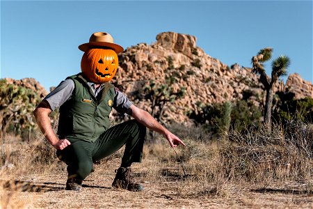 Ranger Jack O'Lantern photo
