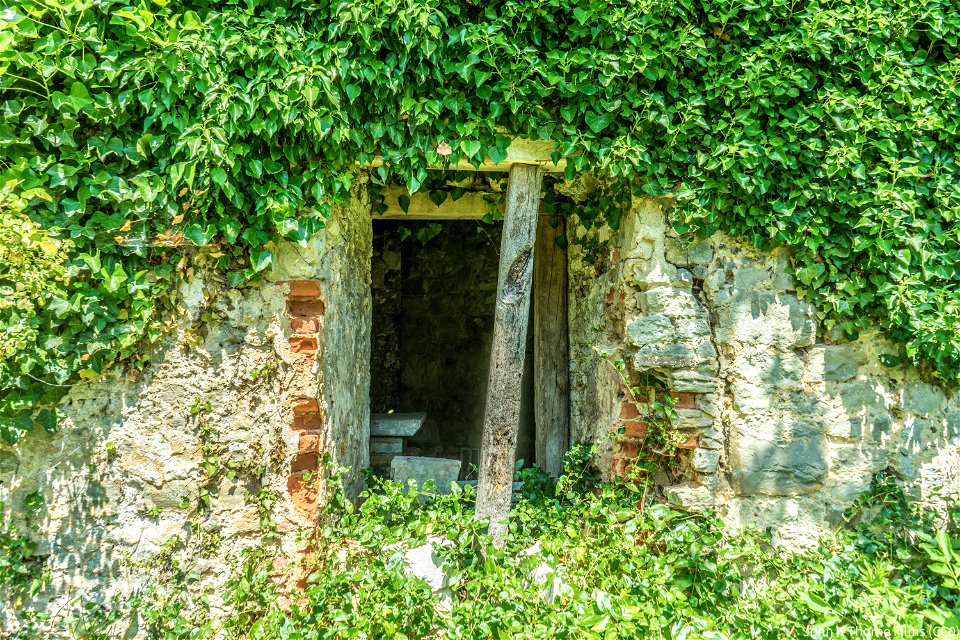 Remains of Boxley Abbey Church. Now a walled garden with a stream running through the middle. Trees growing in the walls.