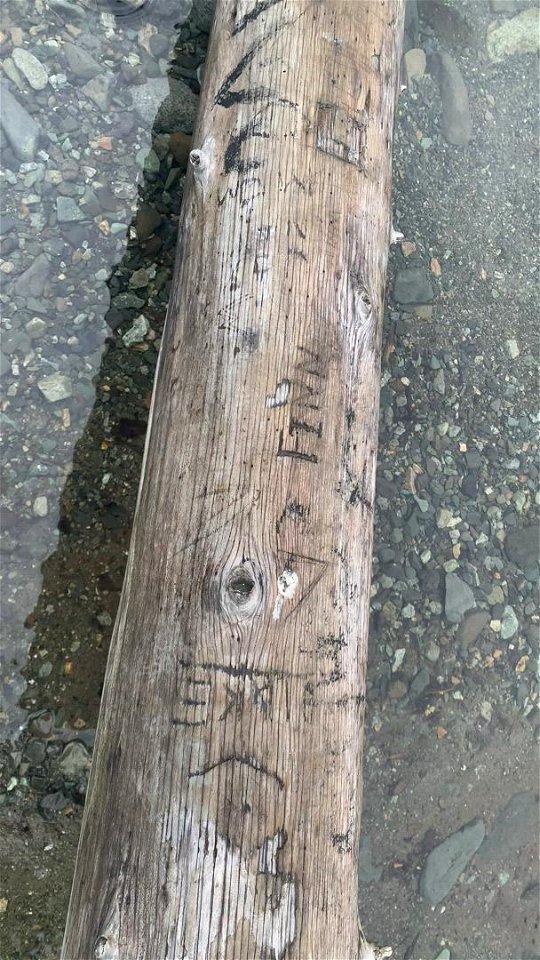 Big Four,Mt. Baker-Snoqualmie National Forest. Video by Sydney Corral June 28, 2021