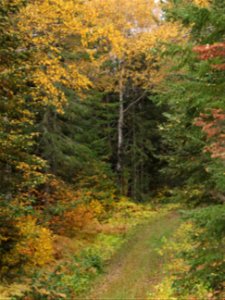20221005-FS-Superior-SAR-006