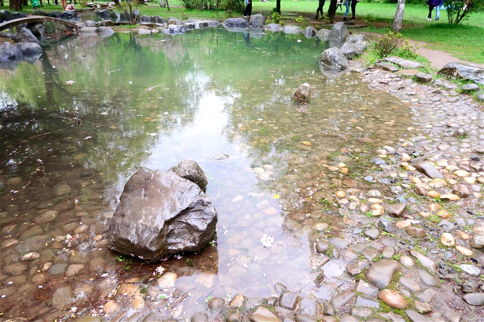 japanes_garden_rain_Herastrau (87)