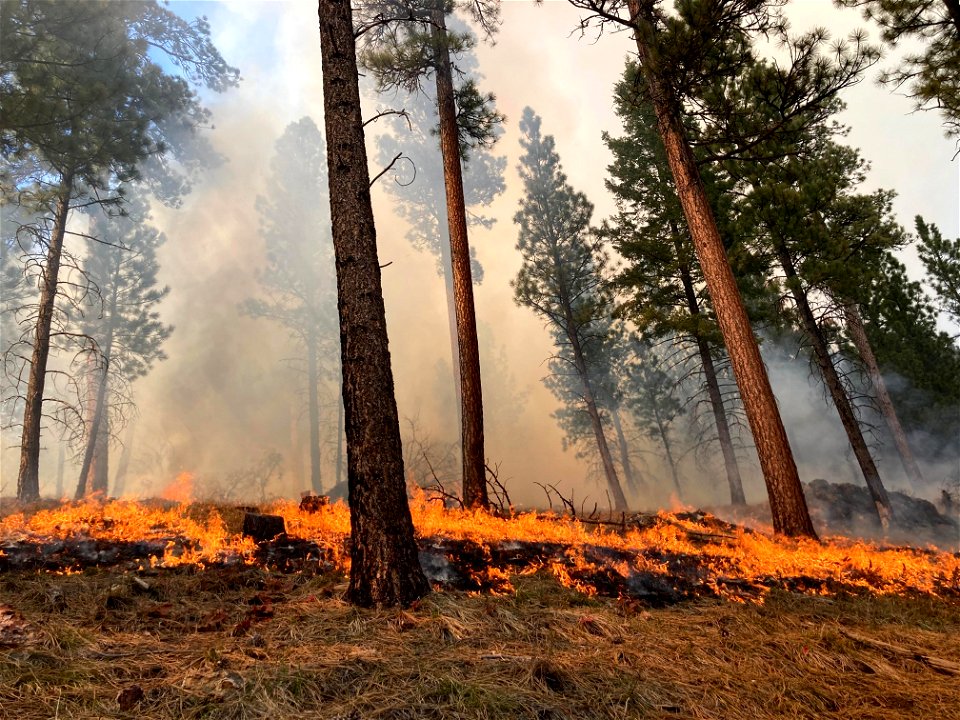 Spring Prescribed Burns