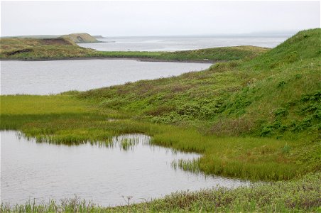 Wetlands near Grant Point photo