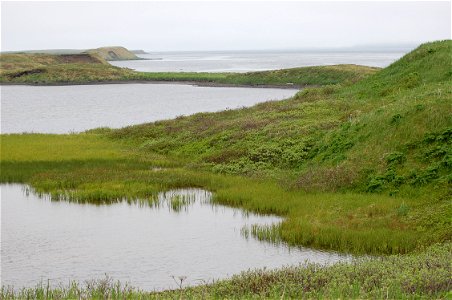 Wetlands near Grant Point