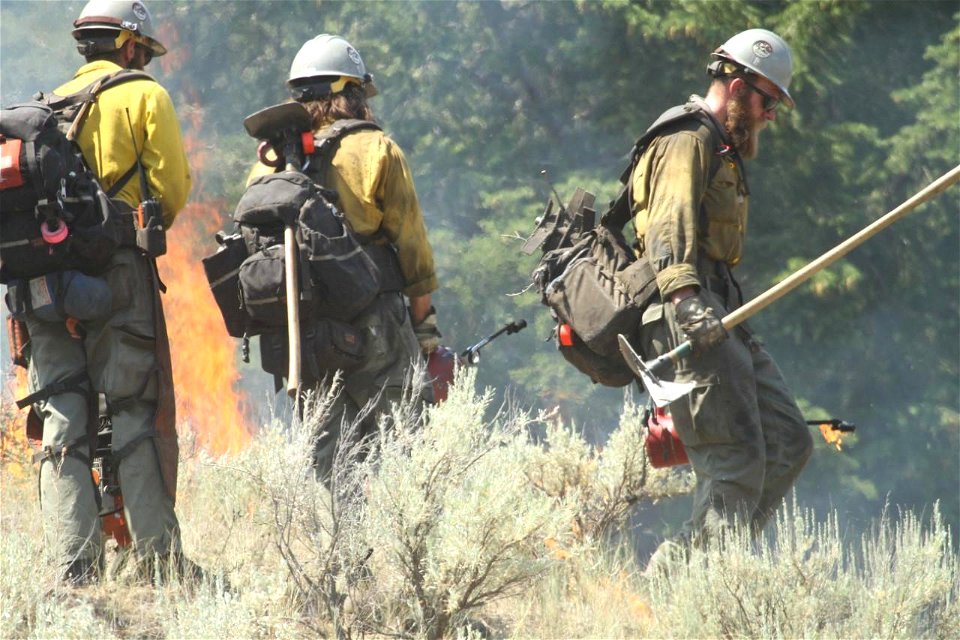 Moose Fire, Alta IHC