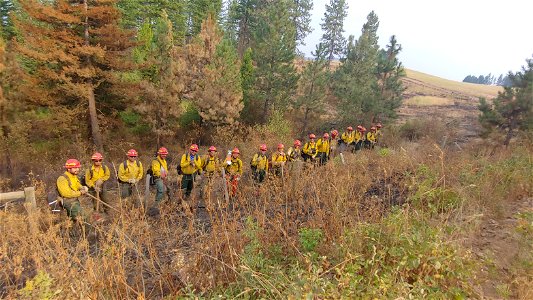 2021 BLM Fire Employee Photo Contest Category: Crews photo