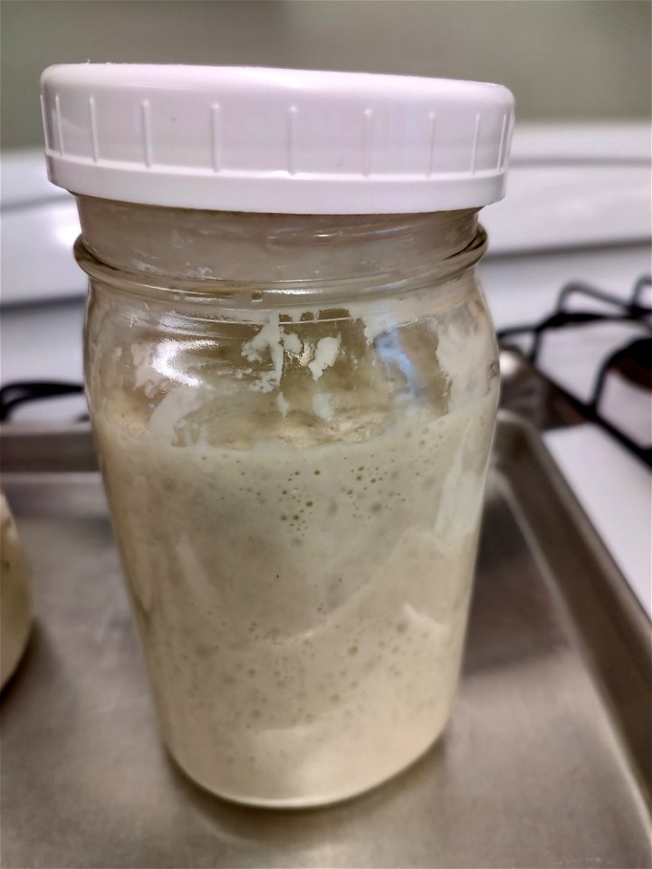 Sourdough starter in jar