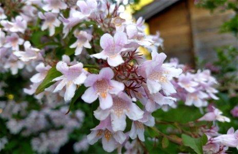 IMG_20220610_194456