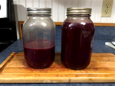 Chokecherry Yield