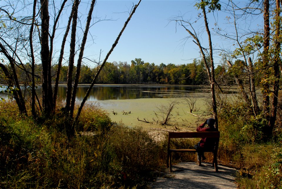 Bottomland Hardwoods