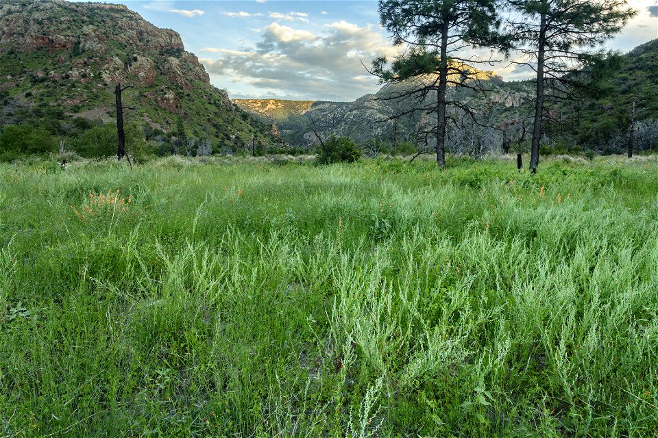 Las Animas Creek