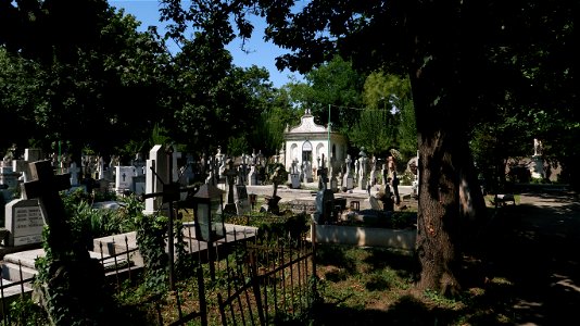 Bellu_cemetery (37) photo
