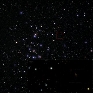 A brown dwarf also in Praesepe (M44) photo
