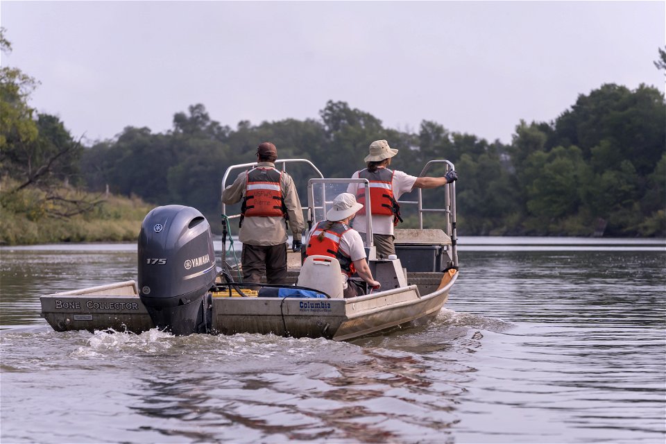 Invasive Carp Research on the James River in South Dakota. Photo: Sam Stukel (USFWS)