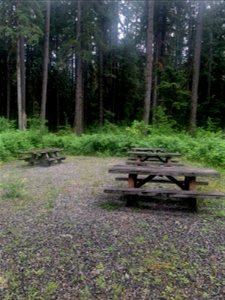 Old Sauk Picnic Area, Mt. Baker-Snoqualmie National Forest. Photo by Sydney Corral July 7, 2021