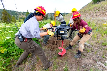 YCC Alpha Crew 2021 Grizzly Lake Trailhead sign install:digging post holes (3) photo