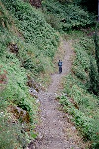 PNTA-Park Butte-Bell Pass-Mount Baker-11 photo