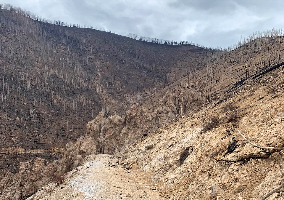 Burn severity on Waterline Road