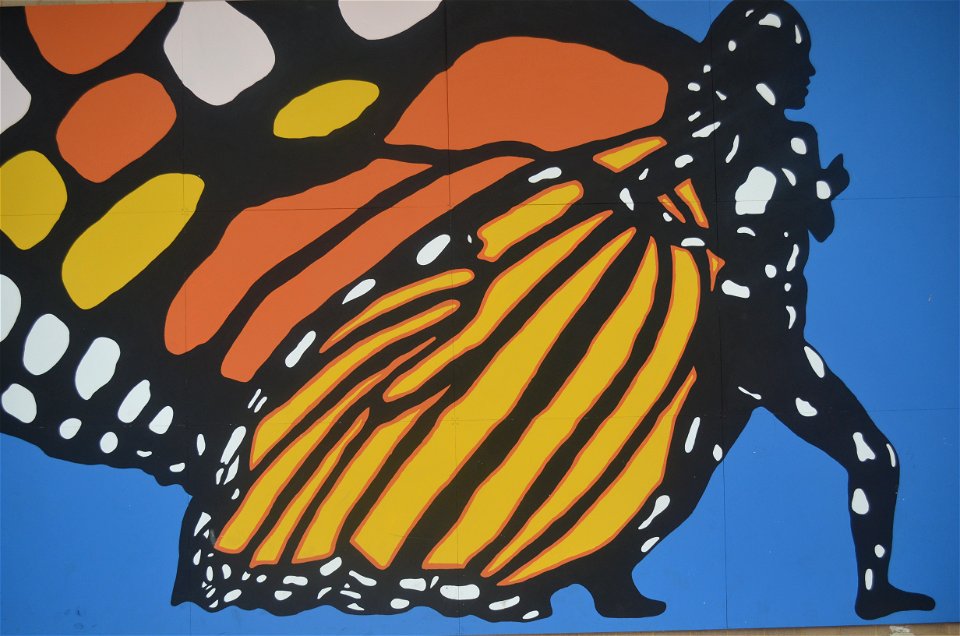 Monarch Artwork