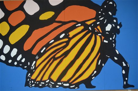 Monarch Artwork