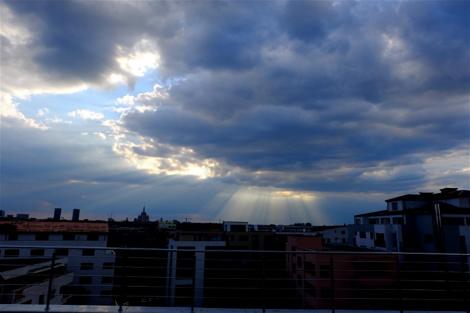 nori-sediu2015_0630_192519